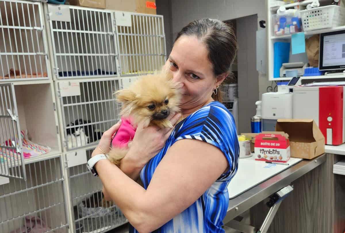 Kelowna Vet Hospital39
